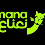 Saudi q-commerce Nana acquires Egyptian fintech Raseedi